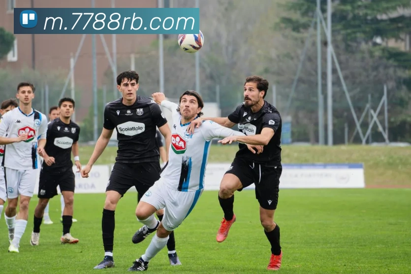平台展示图